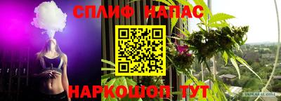 молекула духа Краснодар